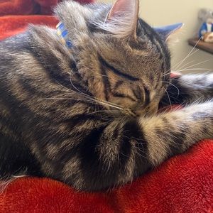 Meet your Posher, Gabriela